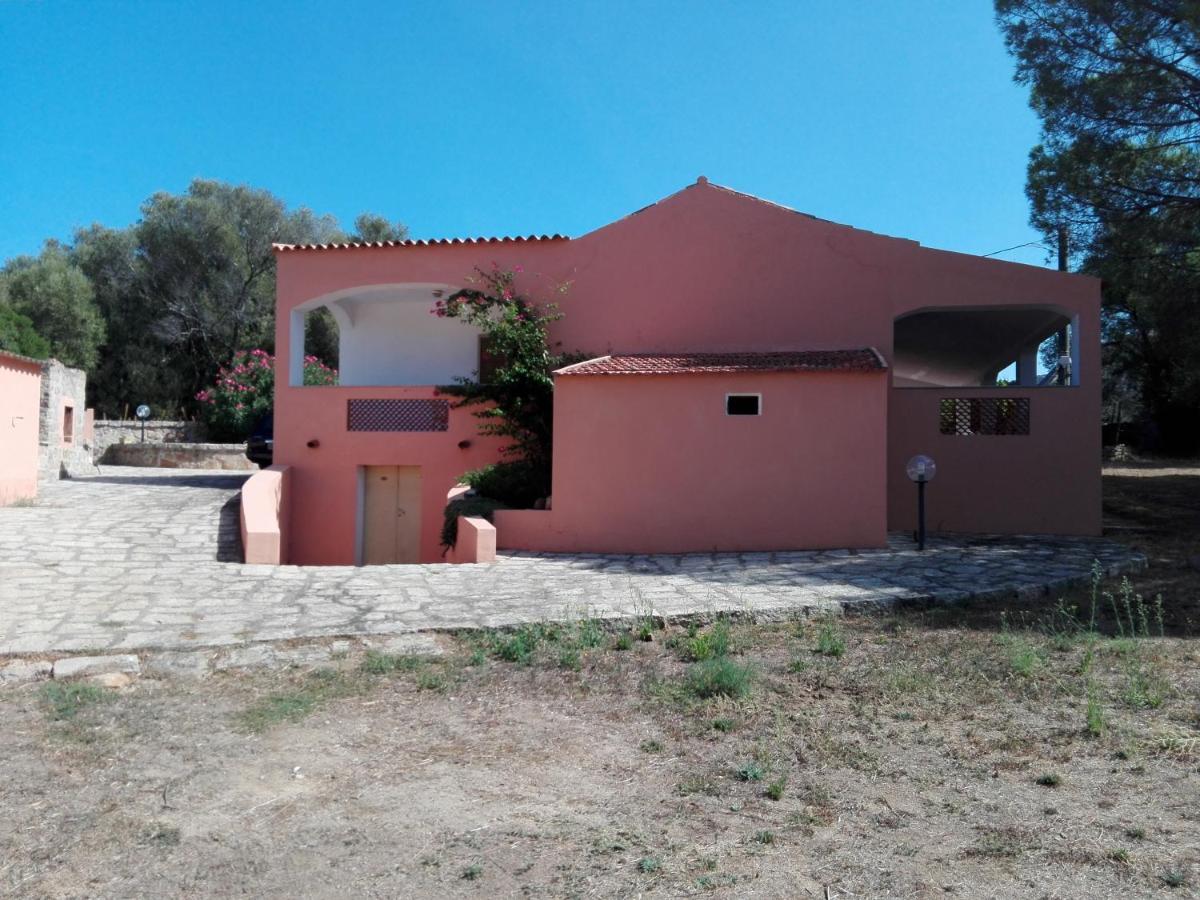 Costa Smeralda - Unifamiliare * Cala Bitta